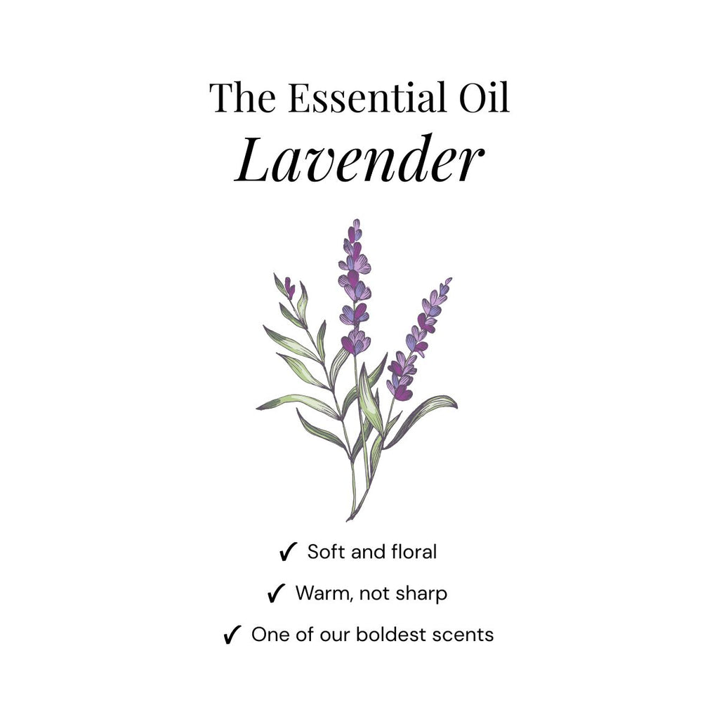 Lavendel Dusch-Duftkugeln - Geschenkbox 6er Pack