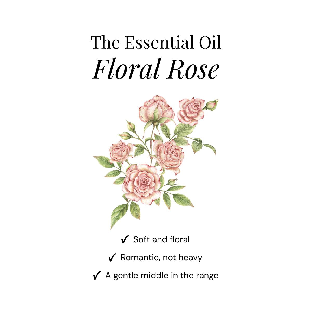Floral Rose Dusch-Dampfbomben - 15er Packung